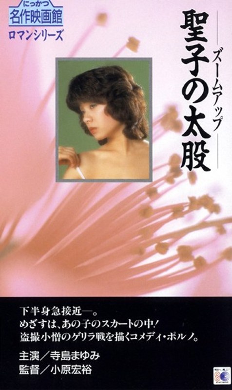 寺島まゆみ・岸田麻里・浜口じゅん|ズームアップ 聖子の太股-盗撮・のぞき