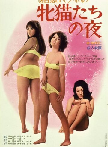 浅井麻千子・山口明美・牧恵子|牝猫たちの夜-成人映画