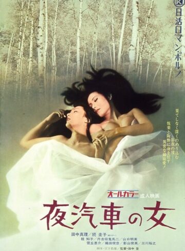 田中真理・続圭子・桂知子|夜汽車の女-成人映画