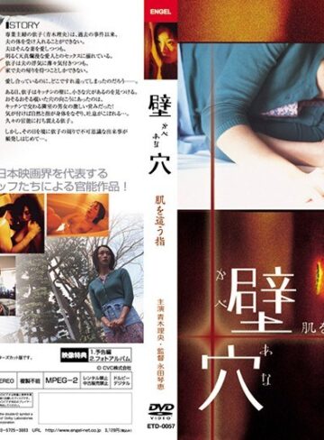 青木理央・藤原夕未|壁穴 肌を這う指-成人映画