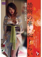 真咲南朋（楓モモ、安藤なつ妃）・佐々木基子・江澤翠|禁断の華・恥じらい 緊縛された肉体美-Vシネマ