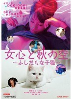 春菜はな・倖田李梨（倖田美梨、岩下美季）・鈴木智絵|女心と秋の空 ～ふしだらな子猫～-Vシネマ